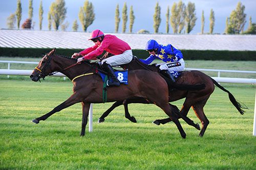 Ladysingstheblues is ridden out by Danny Benson to beat Blixt