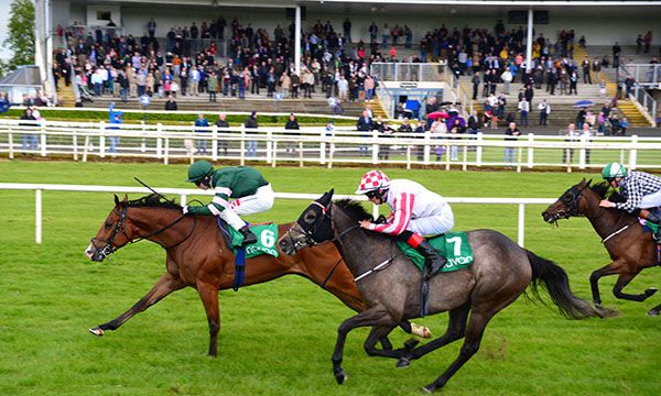 Celebration and Colin Keane prove too good for Miss Power and Robbie Downey