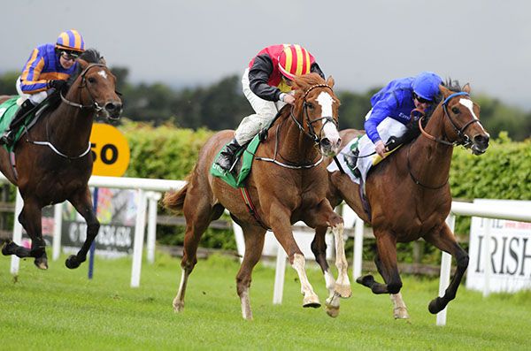Twin Star (white face) leads home Clongowes and Spanish Steps