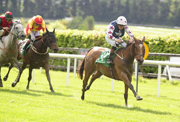 Remarkable Lady comes home a comfortable winner under Sean Davis