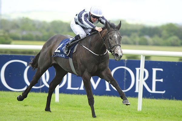 Alpha Centauri well clear in Naas