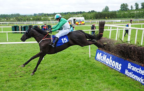 Aranhill Rascal with Denis O'Regan in the plate