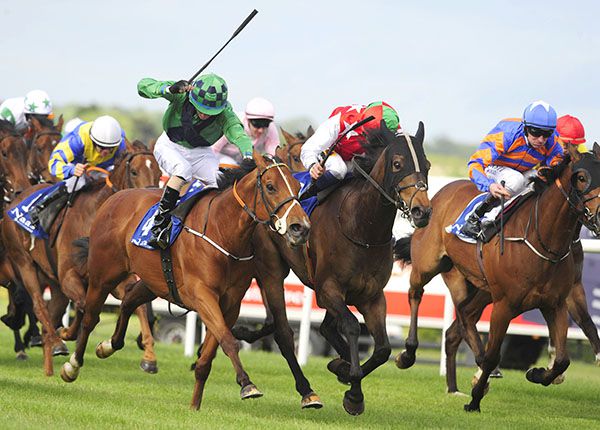 Have A Nice Day, green and black, finishes best in Naas