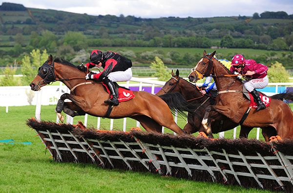 Talsara and Pat Foley jump the last in front