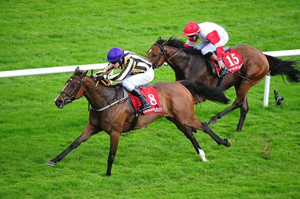 Lomi's Law and Emmet McNamara come home  in front of Queluz and Sean Davis