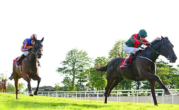 Bigwood and David Simmonson is too  strong for  Music Box and Ana O'Brien