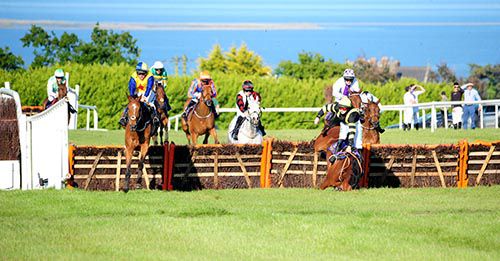 Mr Picotee and Andrew Lynch (left) jump the last alongside faller Magna Cartor