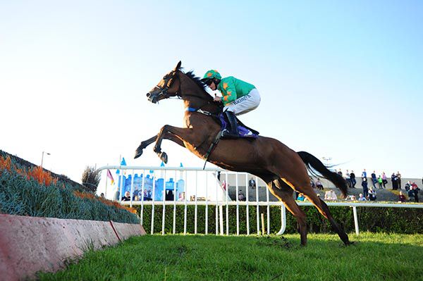 Baily Moon and Paul Townend jump the last