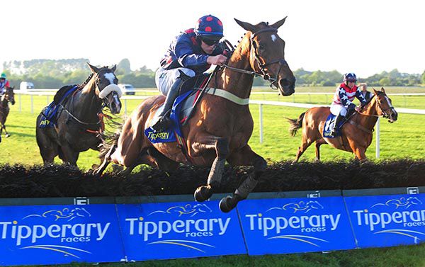 Petuna and  Paul Townend heading for penultimate race honours at Tipperary