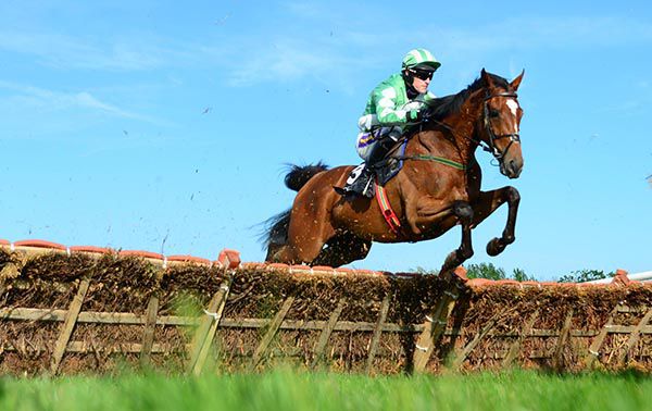 Fiesole and Andrew Ring