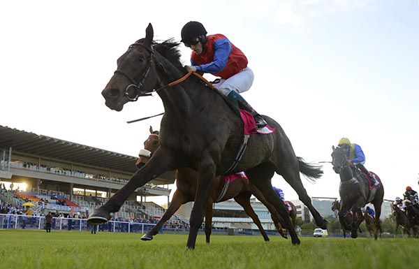 Khabaray leads home his rivals under Billy Lee