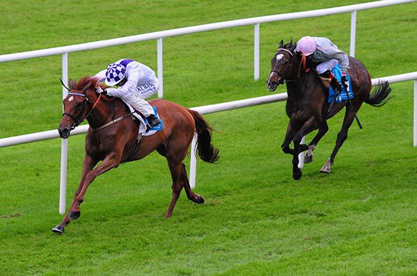 Glamorous Approach winning at the Curragh last month