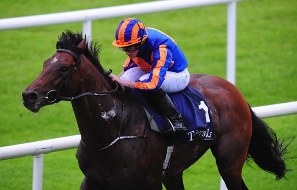 Dual Guineas winner Churchill