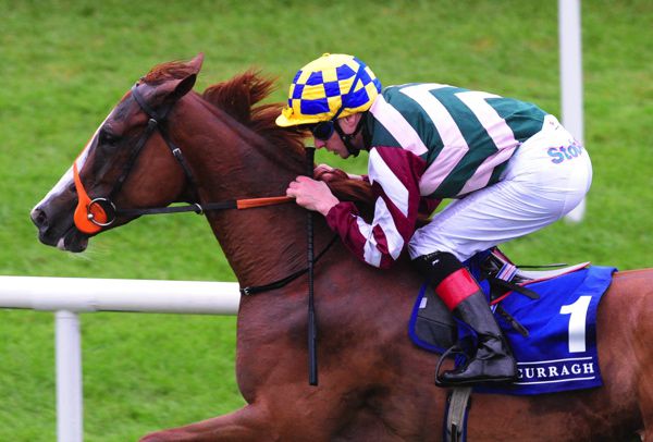 Creggs Pipes and Declan McDonogh