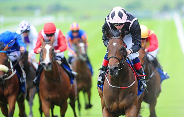 Commander Grigio and Chris Hayes