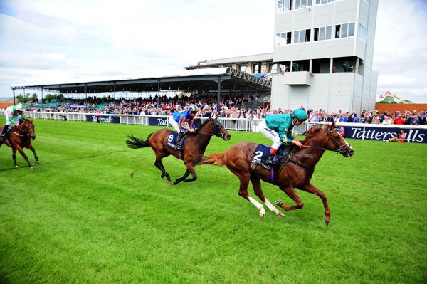 Decorated Knight