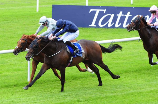 Born To Play (along the rail under Gary Carroll)