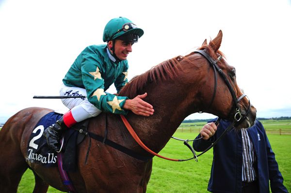 Decorated Knight