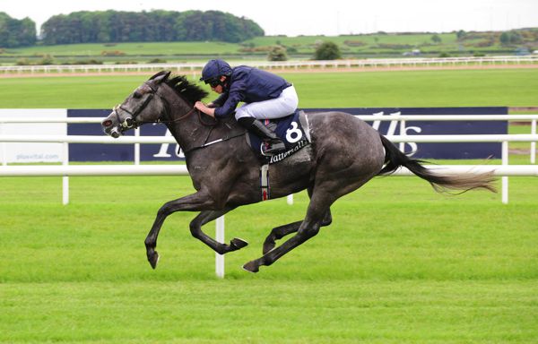 Winter winning the Irish 1,000 Guineas at the Curragh