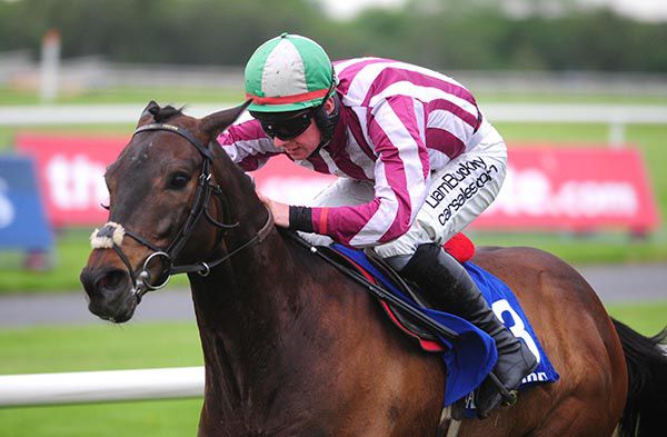 Whats The Plot and  Donagh Meyler