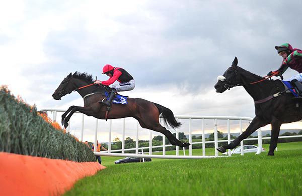 Hello Sweetie (Ruby Walsh) flies the last ahead of Lucky Pat and Aaron Murphy