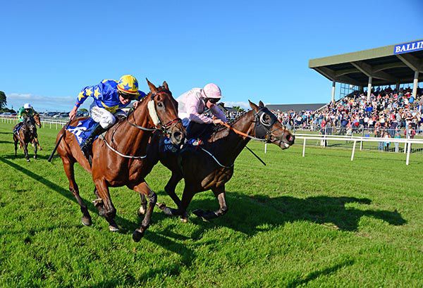 Swamp Fox (outside) just gets the better of Polar Present