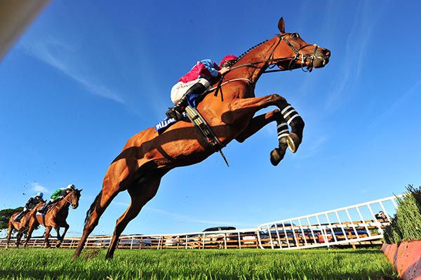 Kilcarry Bridge and Donagh Meyler