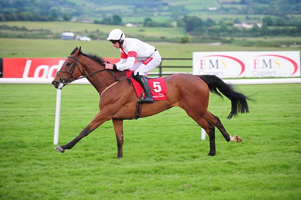 Lighthouse Warrier winning in style