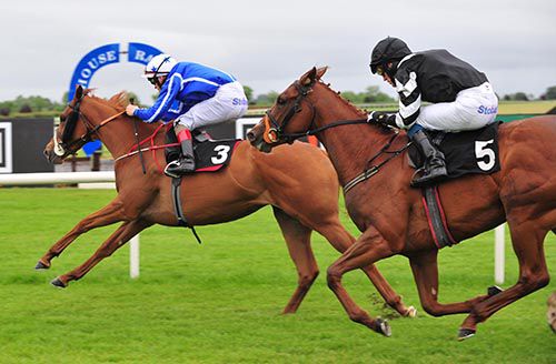 Steelyeyed (Gary Halpin) beats Cul An Ti (Billy Lee)