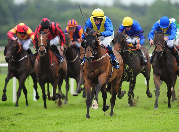 Ross Coakley and Mistiness weren't for catching at Fairyhouse