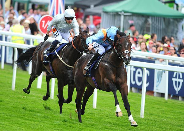 De Bruyne Horse moves ahead of Cardsharp