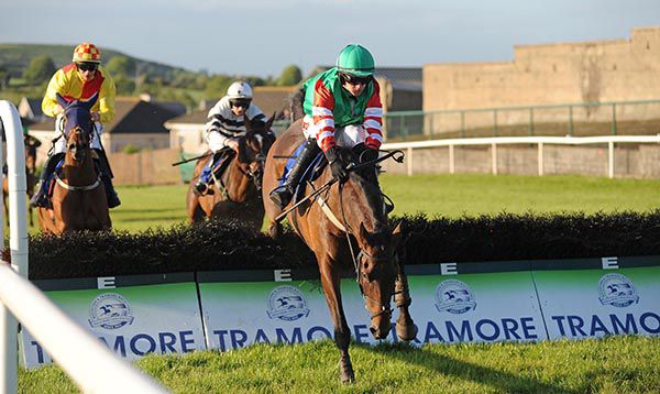 Courtin Bb makes a mistake at the last on her way to victory in Tramore