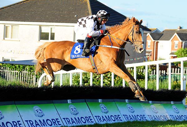 Naturally Blond and Pierce Gallagher