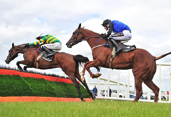 Dont Kick Nor Bite leads Miss Sapphire over the last in Kilbeggan