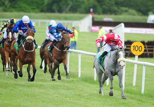 Elusive Duchess has them toiling in behind at Listowel