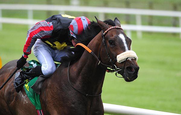 Lightening Stricks and Dylan Hogan pass the post first in Listowel