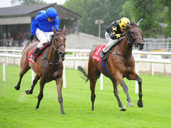 Furiosa gets home from Two For Tea