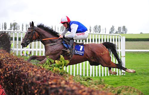 Sea Light and Davy Russell