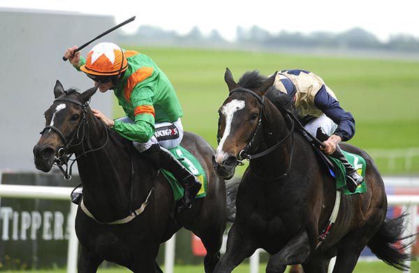 High Haven (left) and Mr Everest fight it out