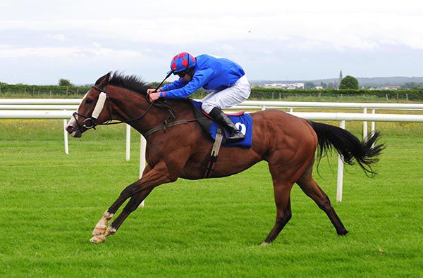 Cosmic Symbol is ridden out by Keith Moriarty 