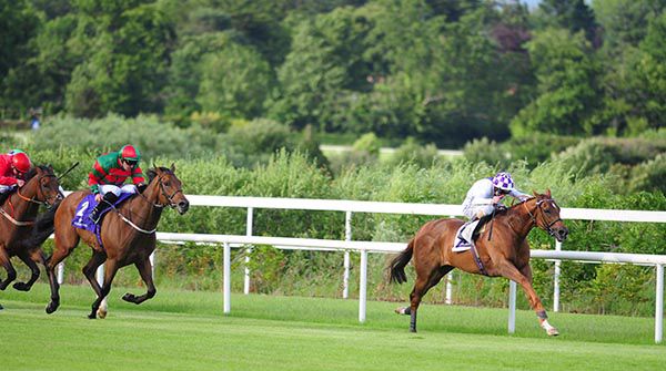 Flight Risk asserts under Kevin Manning