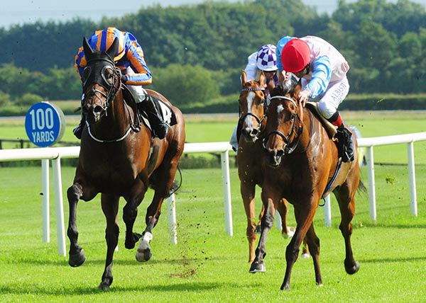 Orangey Red (red cap) is ridden out by Pat Smullen to beat Music Box