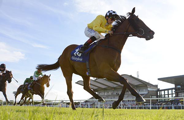 Guiding Star and Chris Hayes lead home their rivals