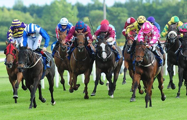 Nothing To Lose (pink colours) coming to challenge Buddha Boy (leading)