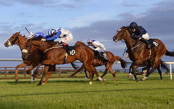 Thunder Crash (noseband) is ridden out by Colin Keane to beat Steelyeyed (inside) and Wild Irish Rose