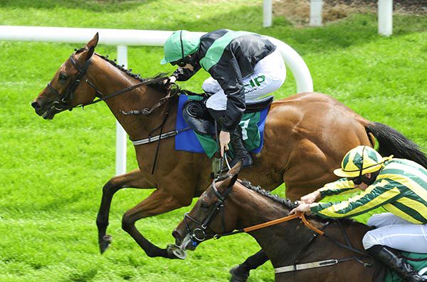 Bell Of The Ball (Rachael Blackmore) holds on from Pat's Pearl