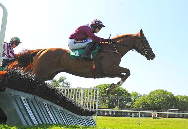 Andratx and Andrew Ring on their way to victory