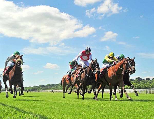 Moonmeister (white face) gets up to beat Spruce Meadow (red and white)
