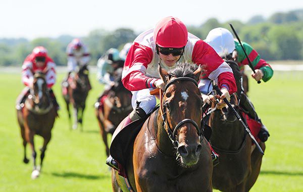 Queluz and Gary Halpin