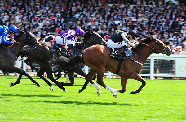 Rajasinghe